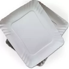 BANDEJA DE CARTON N 1