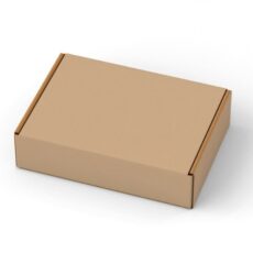 CAJA EMPANADA 1/2 DOCENA