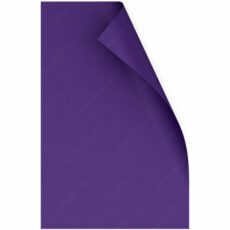 PAPEL CARTULINA CAPITOLIO X10 VIOLETA ESP