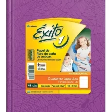 CUAD. EXITO E1 ARAÑA X   48 HJS. LILA //