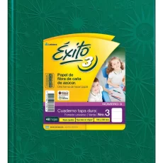 CUAD. EXITO E3 ARAÑA X   48 HJS. VERDE O /