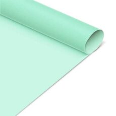 PAPEL CARTULINA MURESCO VERDE AGUA  X20U