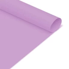 PAPEL CARTULINA MURESCO LILA X20HJS