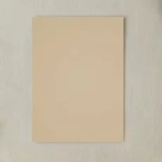 PAPEL CARTULINA CAPITOLIO X25 TOSTADO   ESP